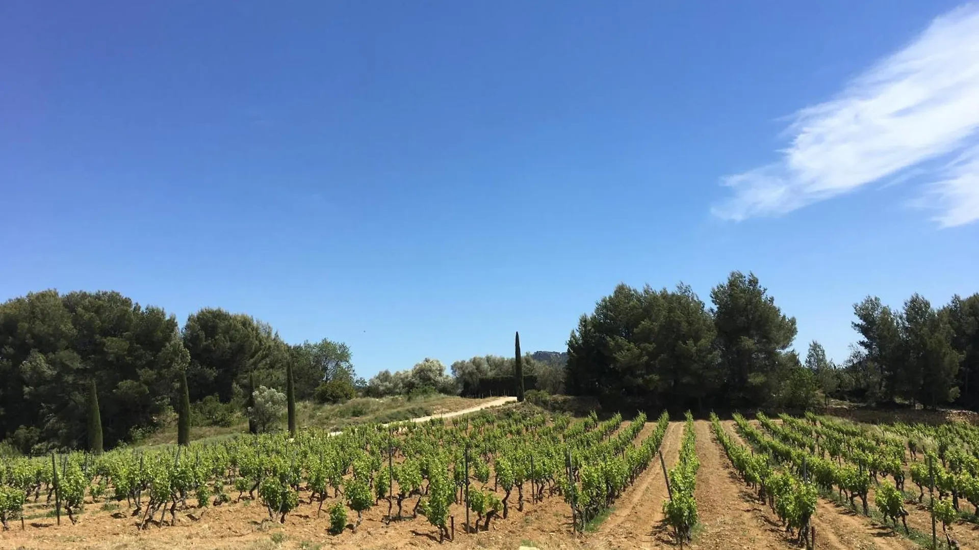 Butterfly Villa Lorgues